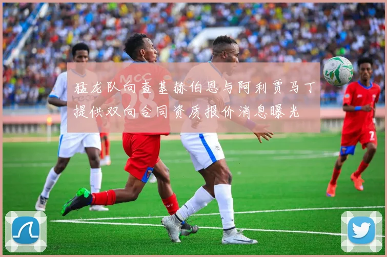 猛龙队向查基赫伯恩与阿利贾马丁提供双向合同资质报价消息曝光