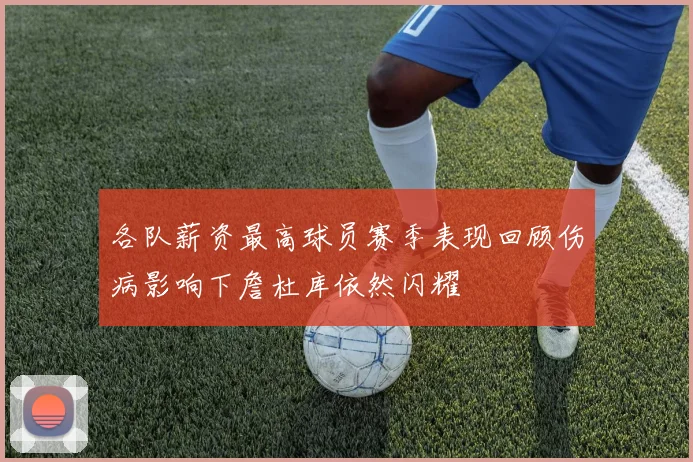各队薪资最高球员赛季表现回顾伤病影响下詹杜库依然闪耀