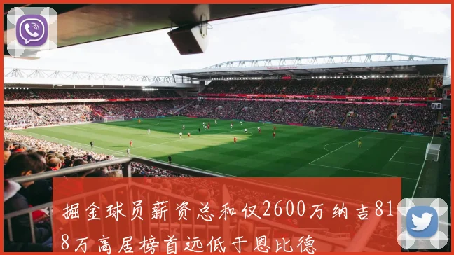 掘金球员薪资总和仅2600万纳吉818万高居榜首远低于恩比德