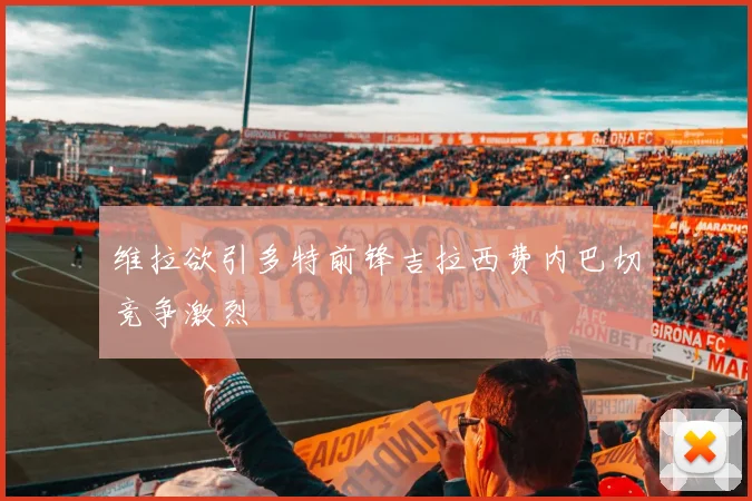维拉欲引多特前锋吉拉西费内巴切竞争激烈